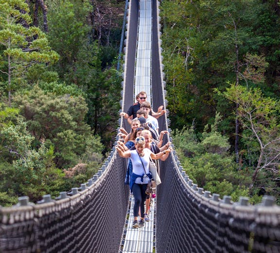 Visitors crossing a suspension bridge at Tahune Airwalk, Tasmania.