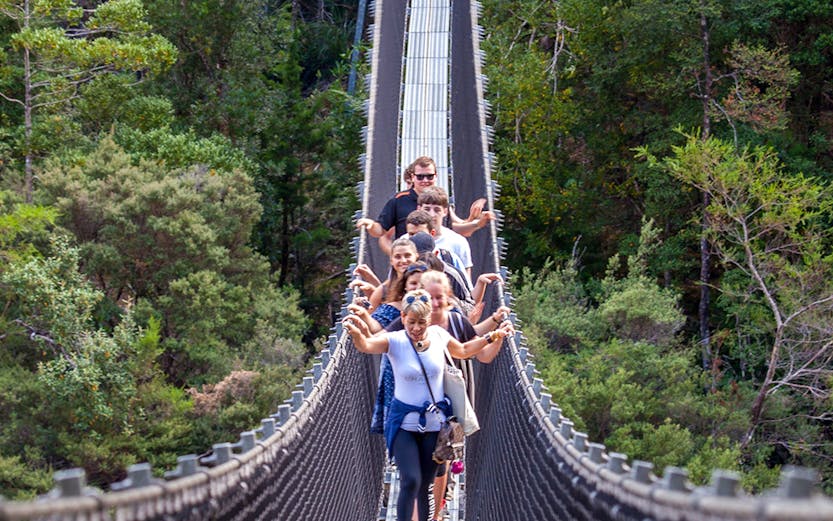 Visitors crossing a suspension bridge at Tahune Airwalk, Tasmania.