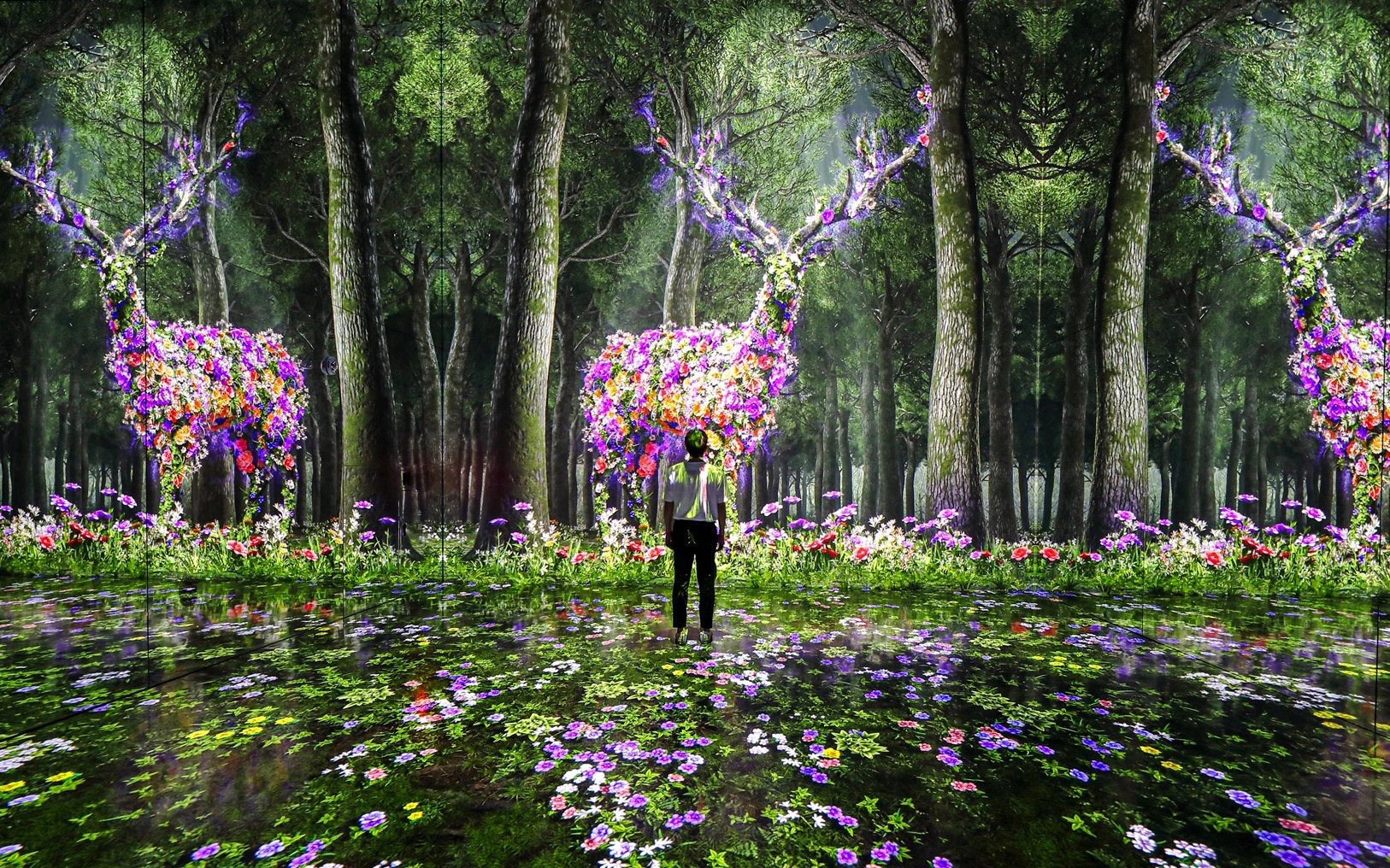 Visitor at Arte Museum's FOREST exhibit in New York, surrounded by digital floral deer and trees.