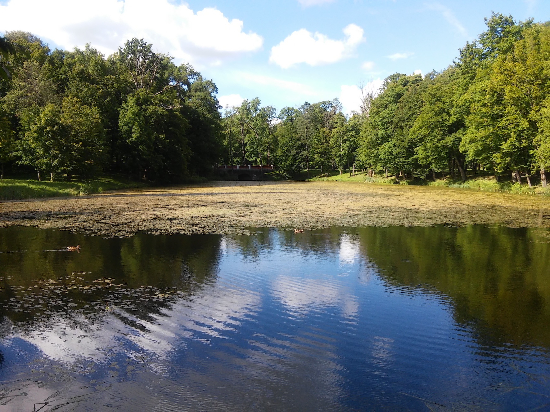 Chertsey meads around dover castle
