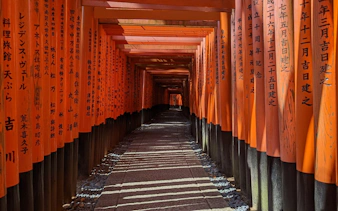 kyoto yürüyüş turu: fushimi inari, arashiyama, maymun parkı ve altın tapınak-2