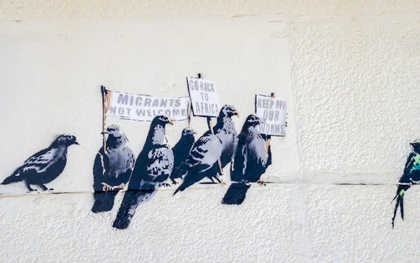 Street art of pigeons holding protest signs, related to The Little Prince Exhibition.