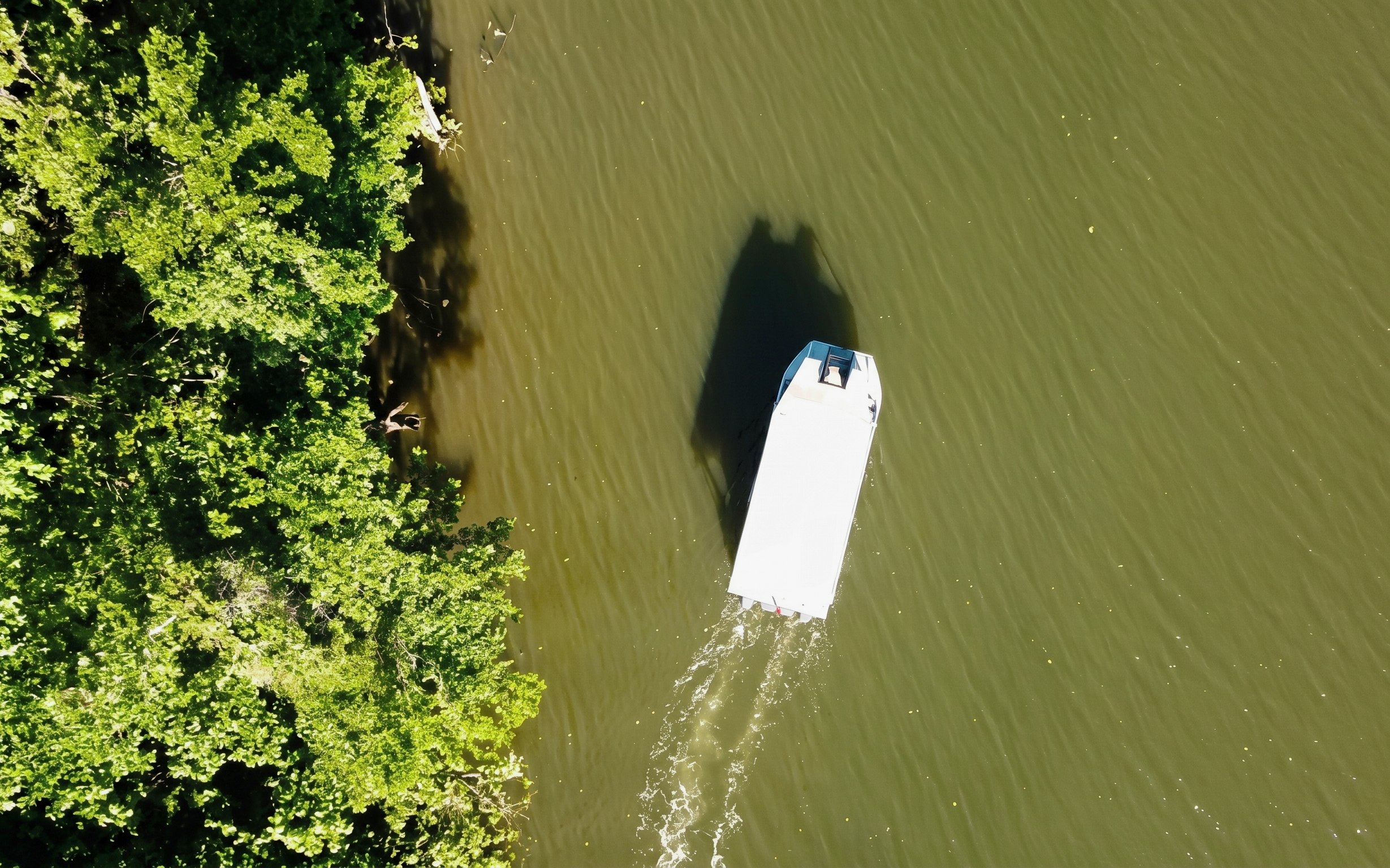Boat cruising on Daintree River near lush greenery, Bruce Belchers Daintree River Cruises.