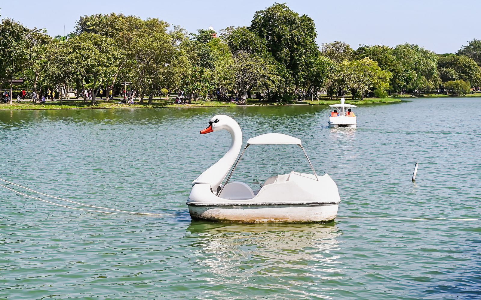 Swan paddle boat on a serene lake in a lush park, offering a peaceful ride in the heart of the city.
