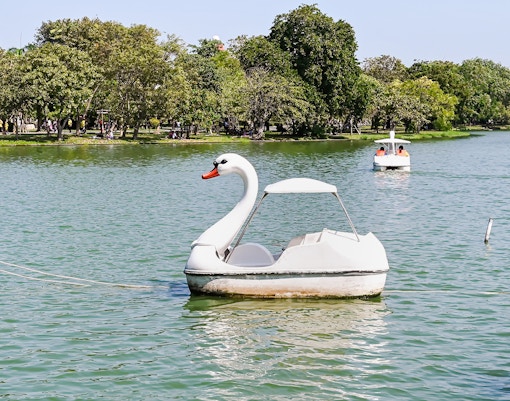Swan paddle boat on a serene lake in a lush park, offering a peaceful ride in the heart of the city.