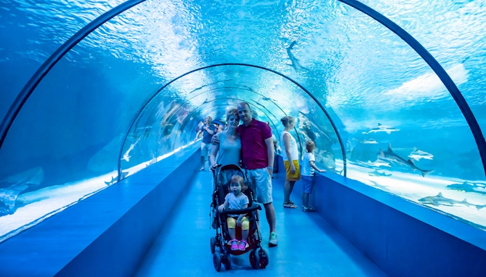 Family exploring Barcelona Aquarium with child in stroller.