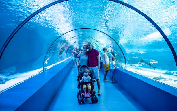 Family with stroller in underwater tunnel at Barcelona Aquarium, viewing marine life.