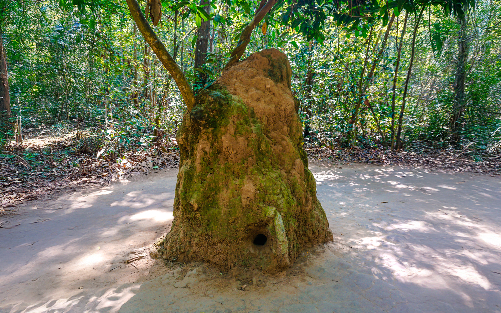 Termite mound used for ventilation at Cu Chi tunnels, Vietnam.