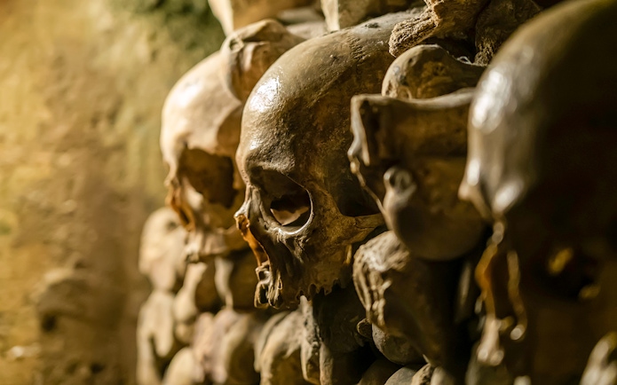 Skulls in the Paris Catacombs on a small group guided tour with special access.