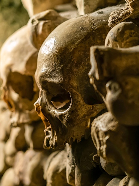 Skulls in the Paris Catacombs on a small group guided tour with special access.