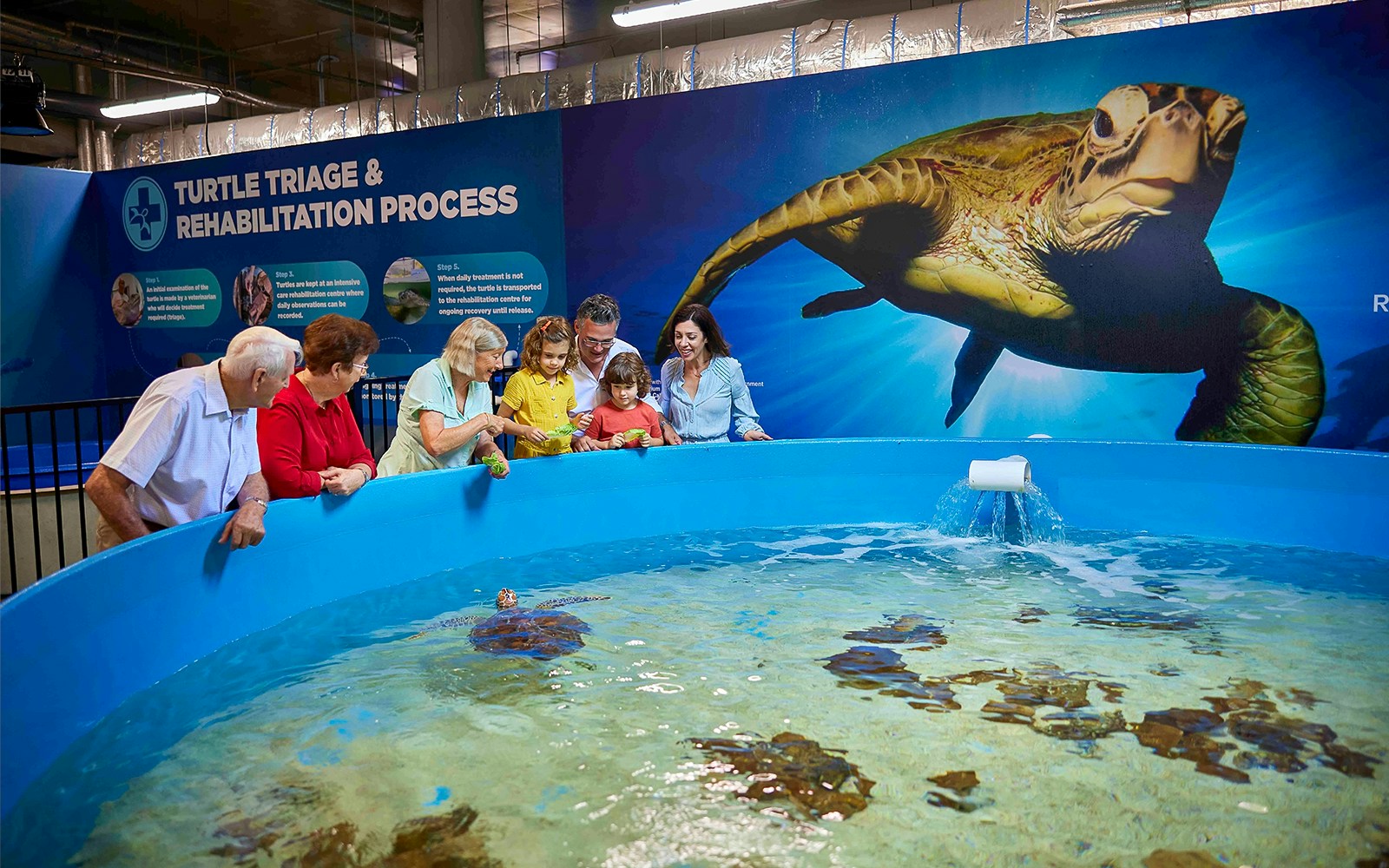 A group of people are standing around the turtle rehabilitation pool in Cairns aquarium/hospital