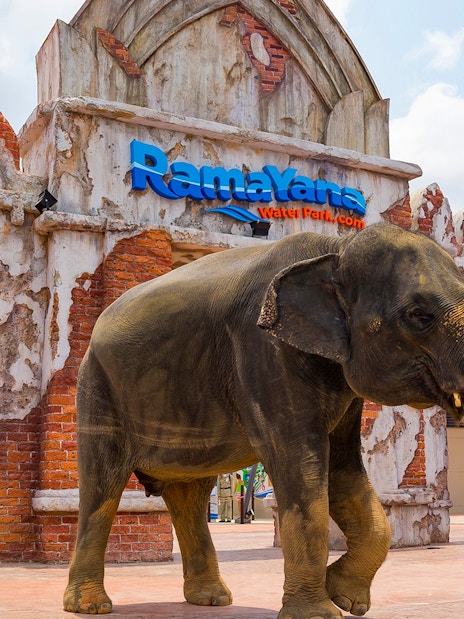Elephant standing at the entrance of Ramayana Water Park, Thailand.