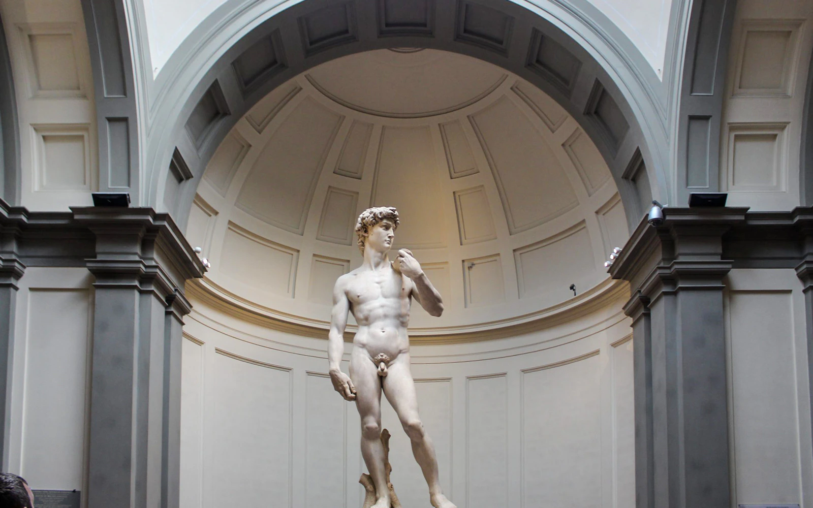 Michelangelo’s David at the Accademia Gallery