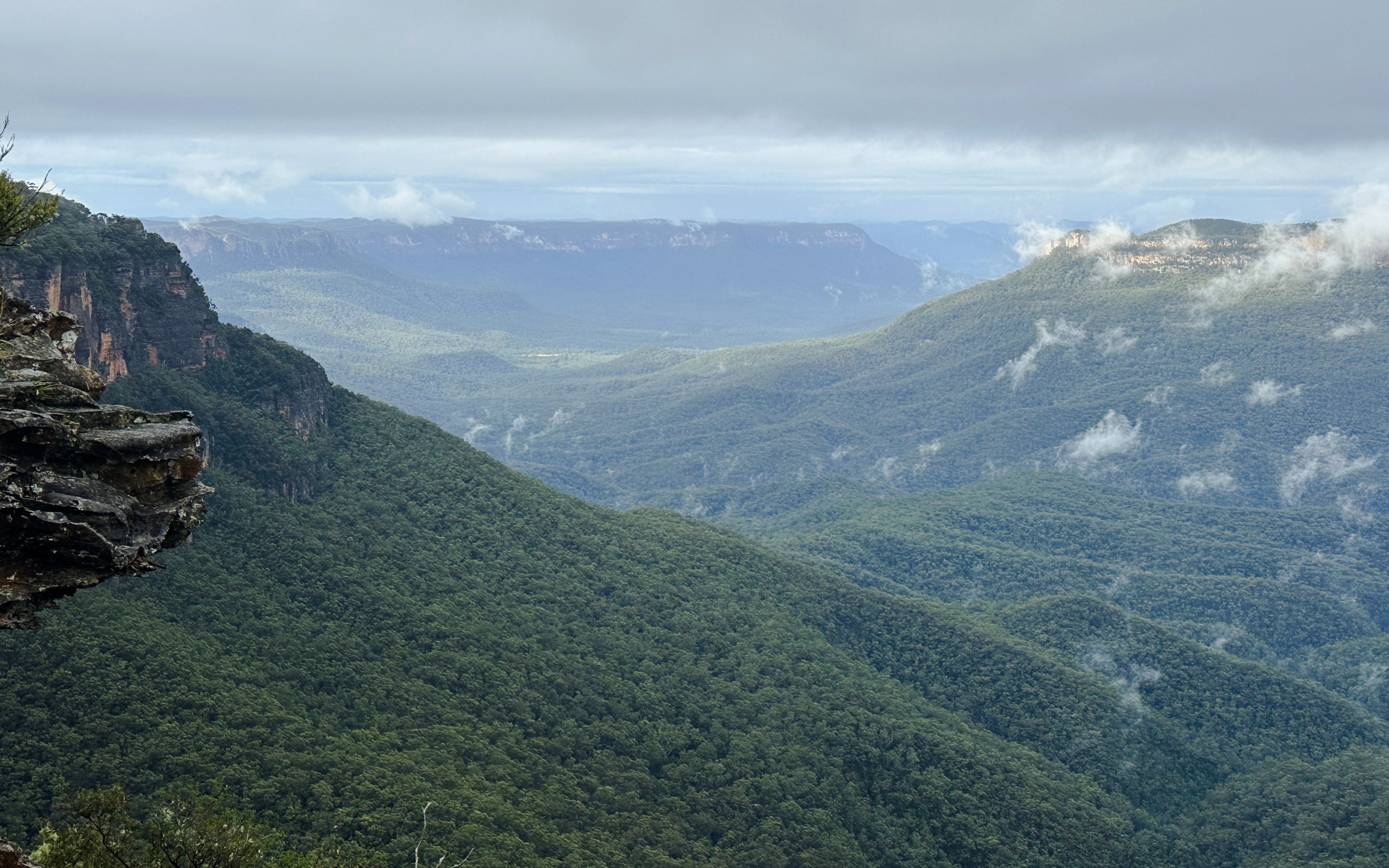 Blue Mountains landscape with misty valleys and dense forest, Australia.