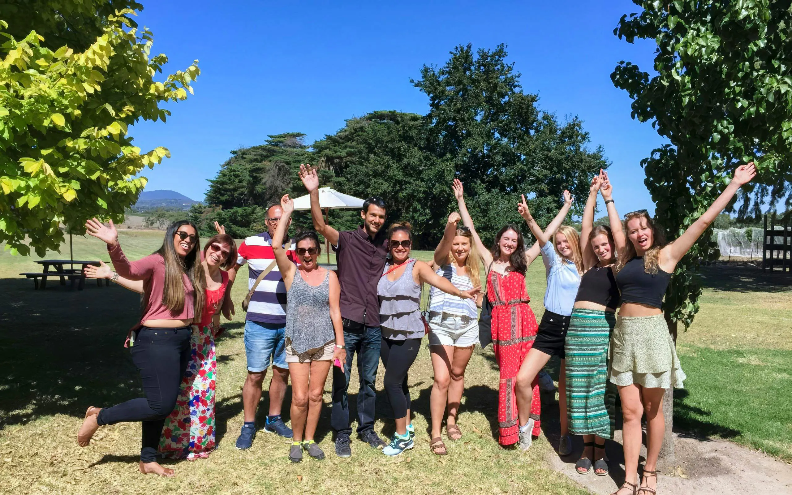 Group enjoying Yarra Valley Wine tour under clear blue sky.