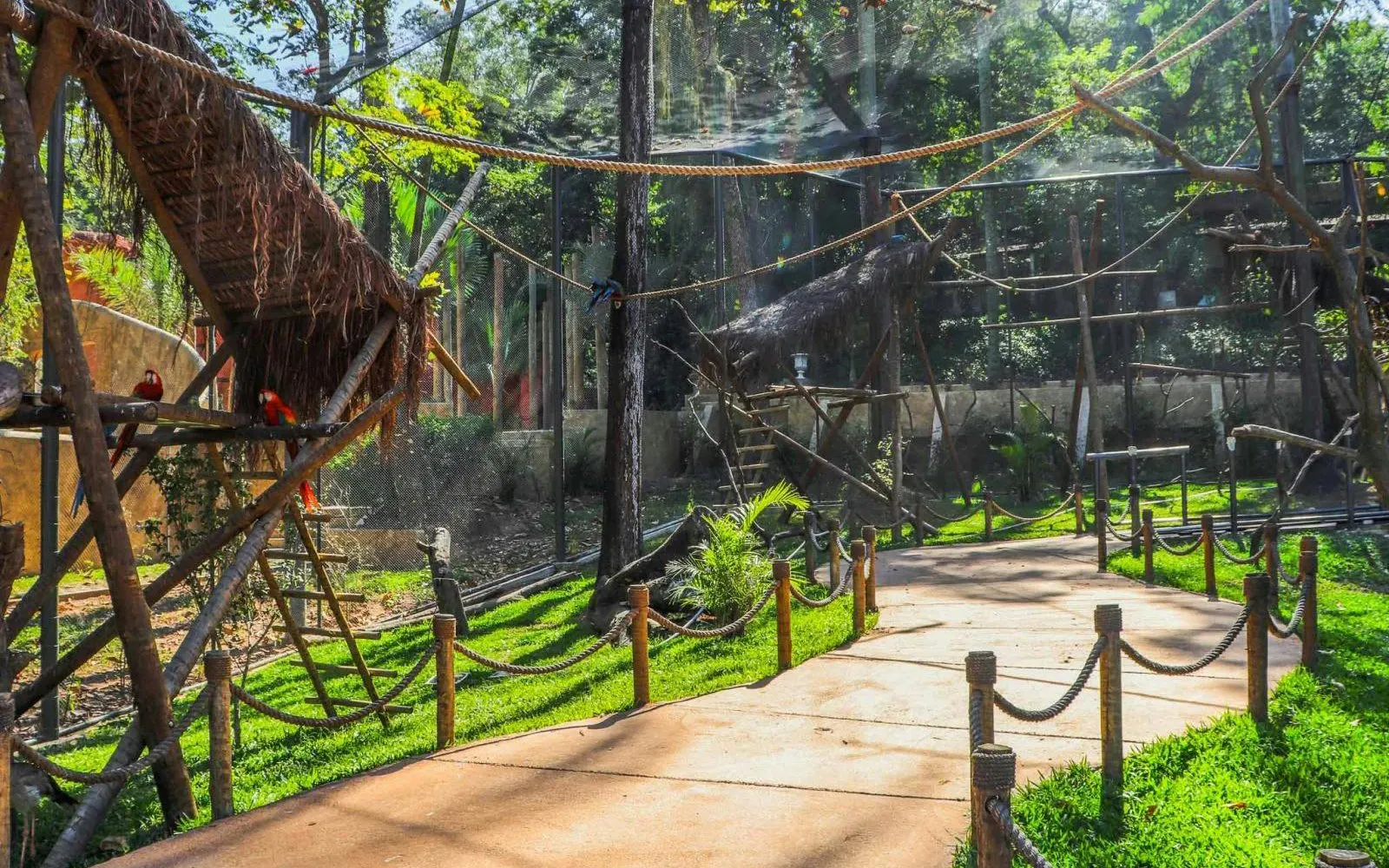 Pathway through aviary with macaws at BioParque Rio, Rio de Janeiro, Brazil.