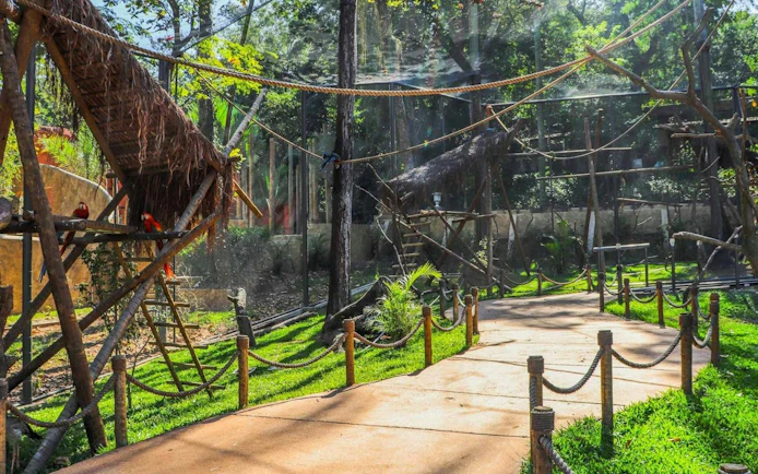 Pathway through aviary with macaws at BioParque Rio, Rio de Janeiro, Brazil.