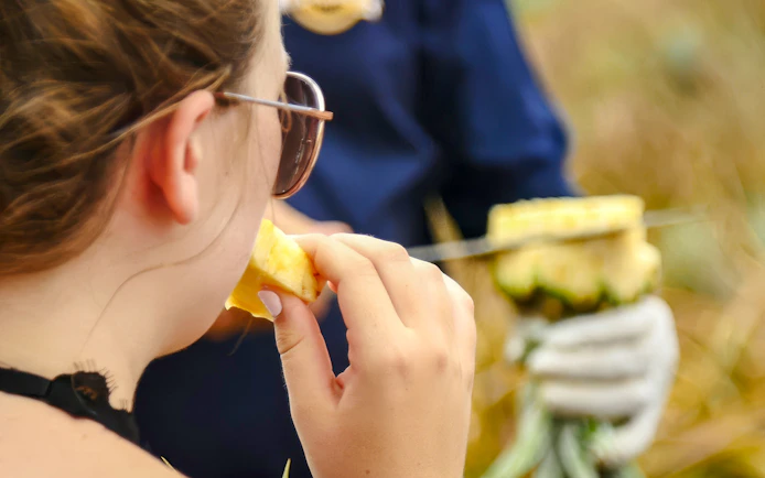 Person tasting fresh pineapple at a plantation tour.
