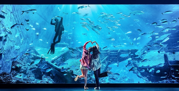 Singapore Oceanarium