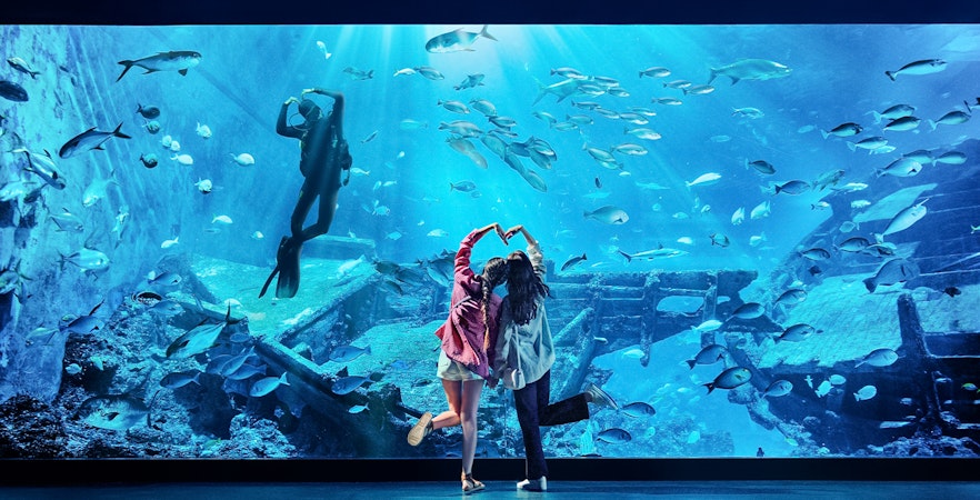 Singapore Oceanarium