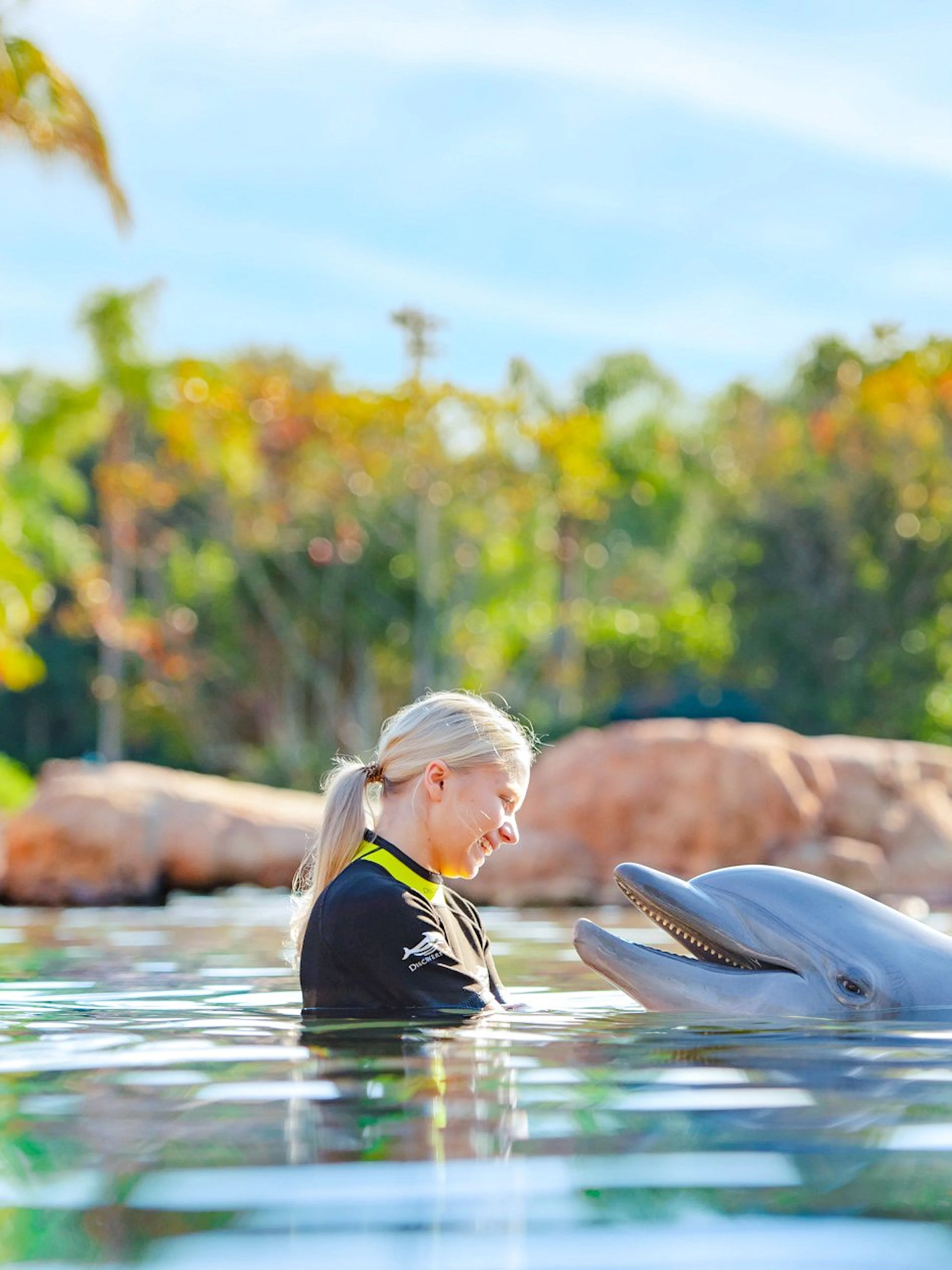 Person interacting with a dolphin at Discovery Cove Orlando.