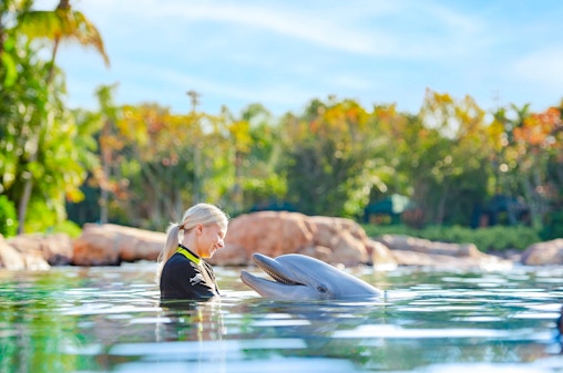 Ingressos para o Discovery Cove Orlando