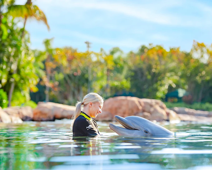 Discovery Cove Orlando Tickets