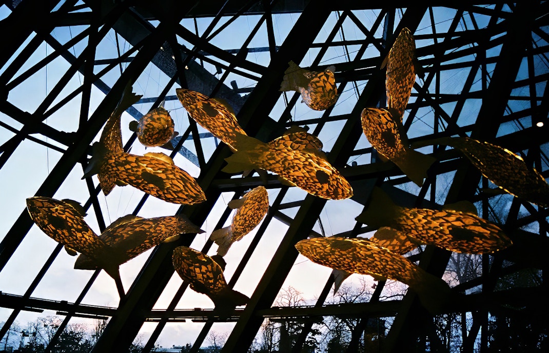 fondation louis vuitton
