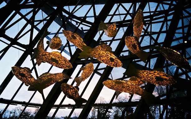 Fish Lamp installation by Frank Gehry at Fondation Louis Vuitton, Paris.