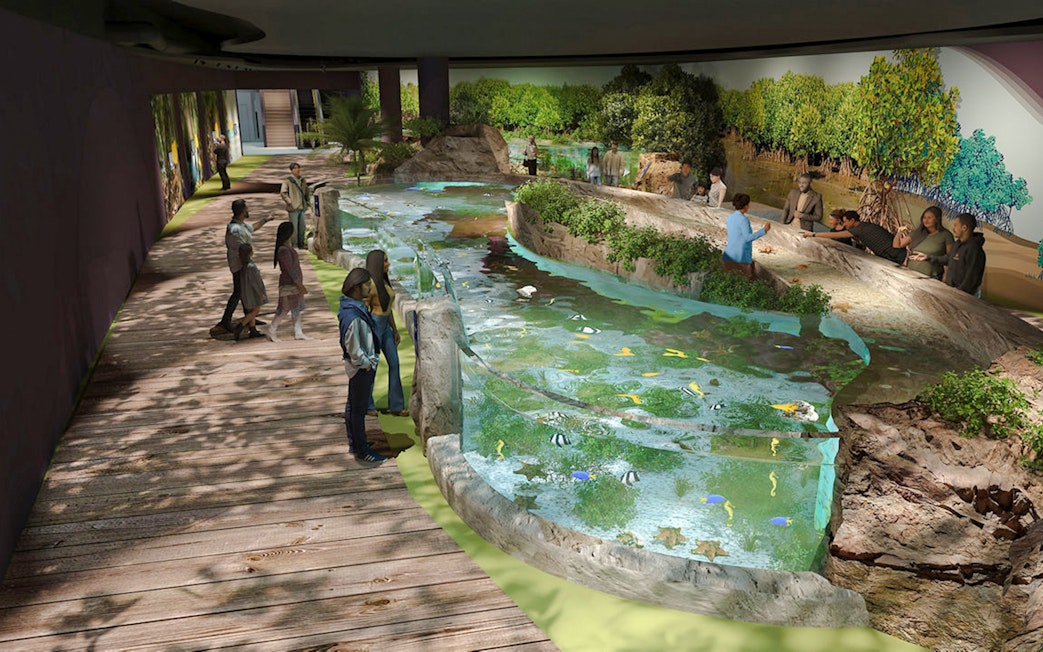 Visitors observing marine life in a Singapore Oceanarium ecosystem exhibit.