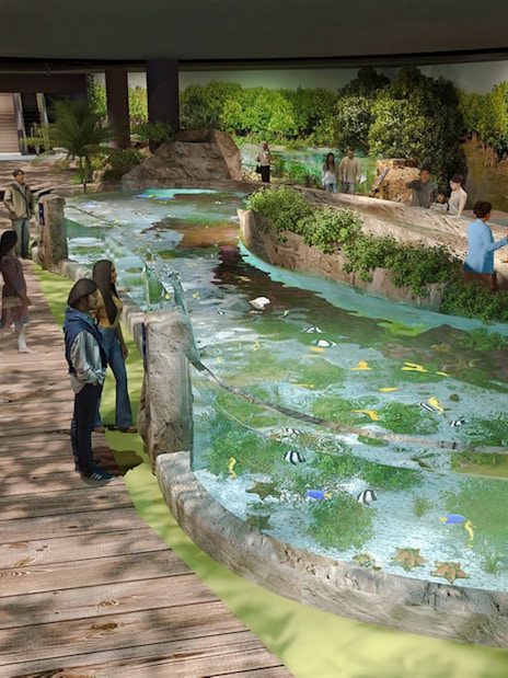 Visitors observing marine life in a Singapore Oceanarium ecosystem exhibit.
