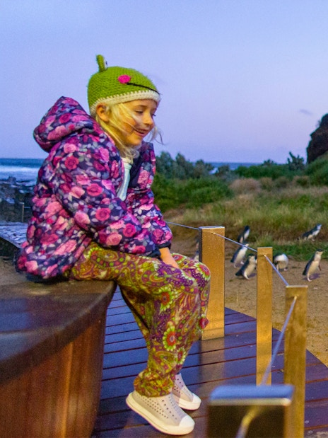 Girl watching penguin parade on Phillip Island tour.