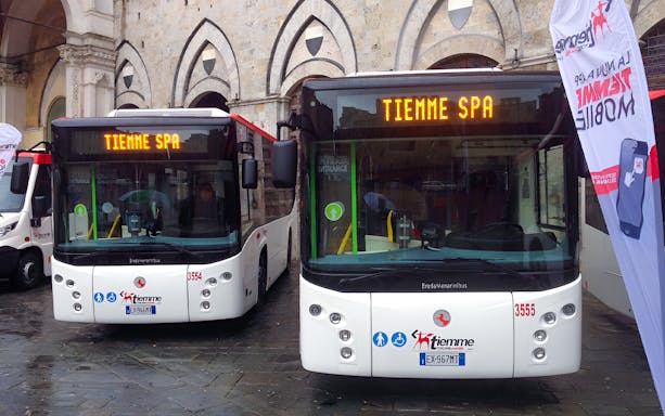Tiemme buses parked in Siena for round-trip service to Rome Fiumicino Airport.