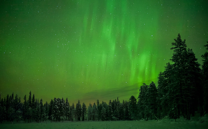 Northern lights over snowy forest in Rovaniemi, Finland.