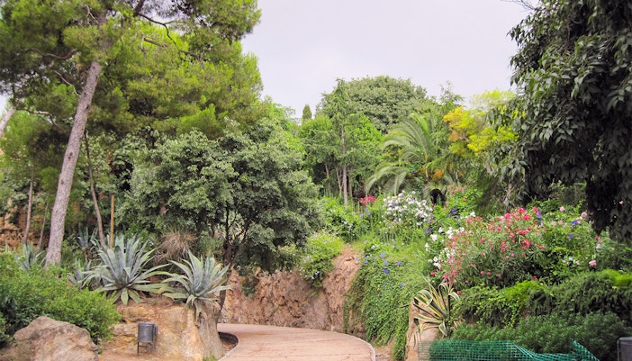 Nature & Biodiversity-Park Guell