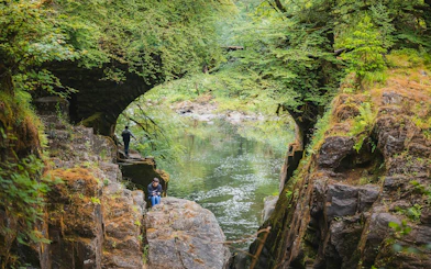 From Edinburgh: Scottish Glens, The Highlands and Whisky Tours