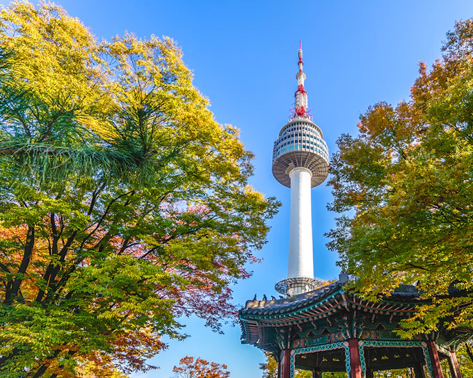 N Seoul Tower Observatory with Namsan Cable Car Round-trip Tickets (Ticket Pick-up before 6 PM: Myeng-dong Rednow)
