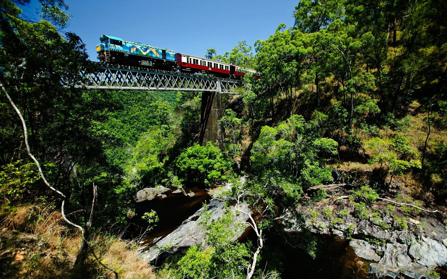 Train crossing a bridge through lush forest on a scenic tour with transfers.
