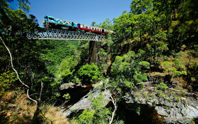 Train crossing a bridge through lush forest on a scenic tour with transfers.