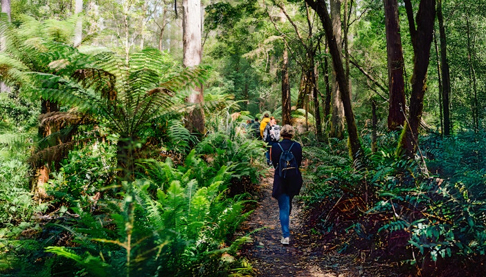 Bruny Island coastline view with cliffs and ocean from Hobart full-day guided tour.