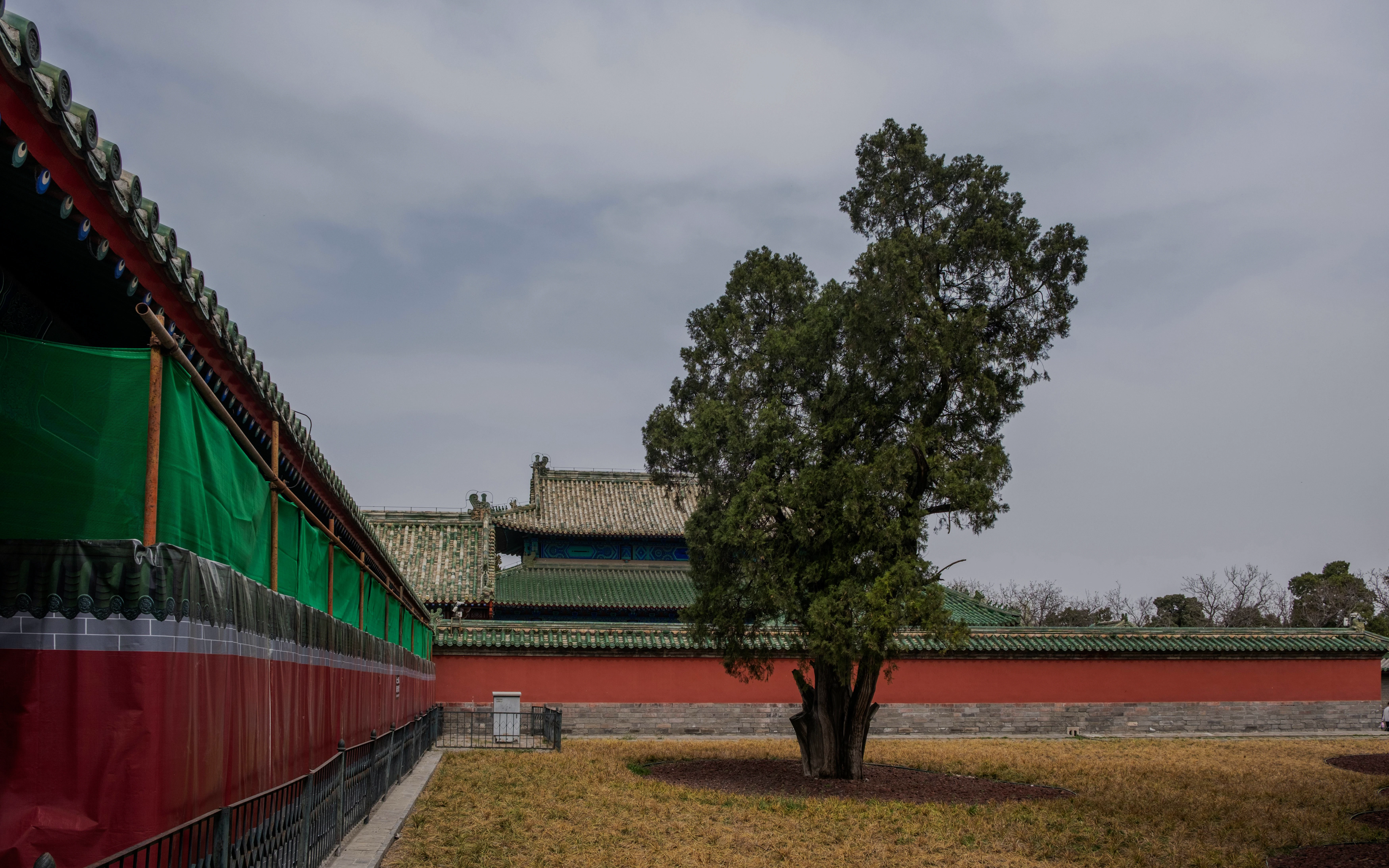 Temple of Heaven courtyard with cypress tree and traditional architecture in Beijing, China.