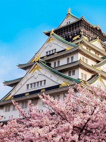 Osaka Castle with cherry blossoms in full bloom under a clear blue sky.
