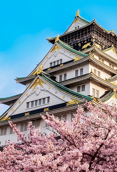Osaka Castle with cherry blossoms in full bloom under a clear blue sky.