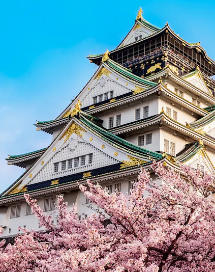 Osaka Castle with cherry blossoms in full bloom under a clear blue sky.