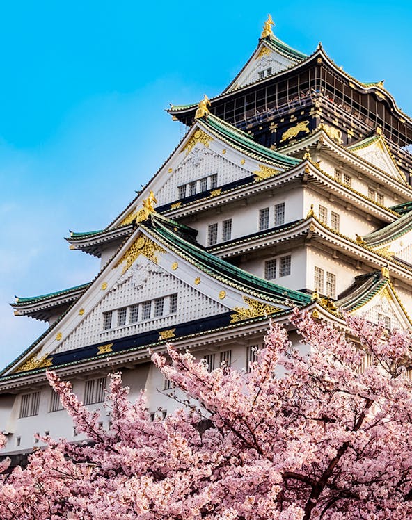 Osaka Castle with cherry blossoms in full bloom under a clear blue sky.