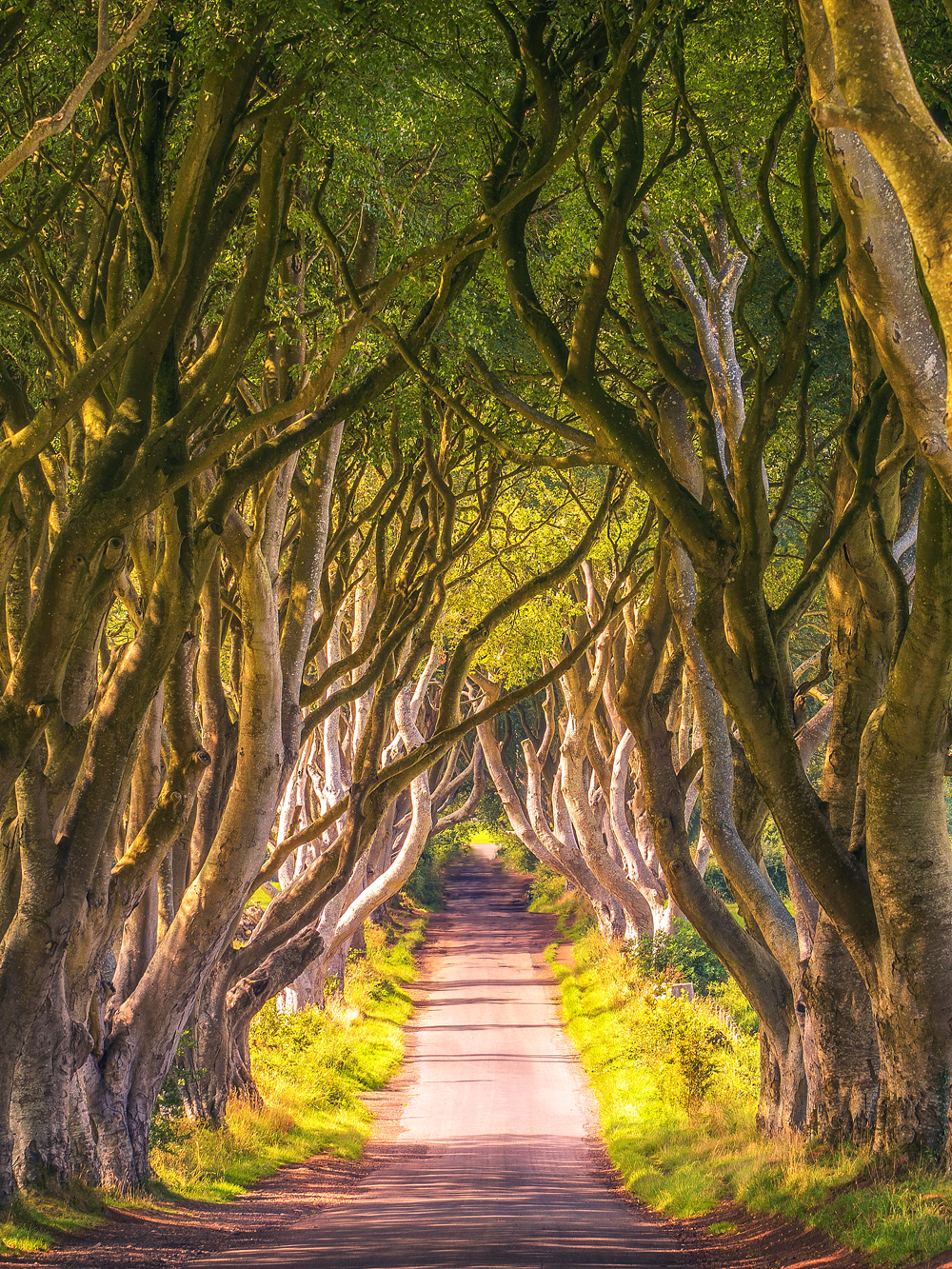 Game of Thrones Studio Tour