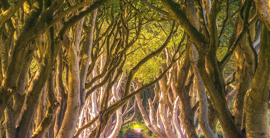 Tour del estudio de Juego de Tronos