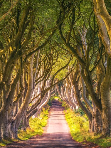 Visite du studio Game of Thrones
