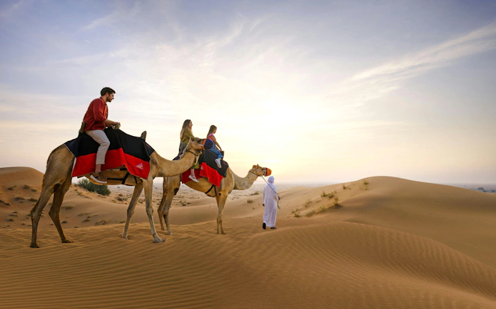 Camel ride through Dubai Desert dunes at sunset.