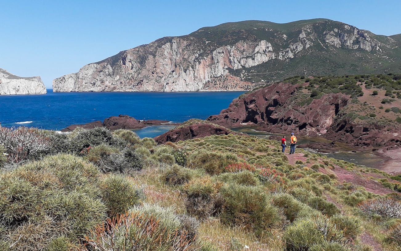 Hikers on a trail overlooking the Faraglioni rock formations and coastline near Nebida.